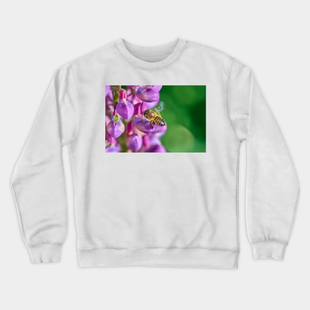 Bee descending on a lupin Crewneck Sweatshirt by mbangert